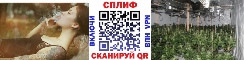 Купить закладку Амфетамин  Alpha-PVP  Канабис  Экстази  Cocaine  Меф  Мыски