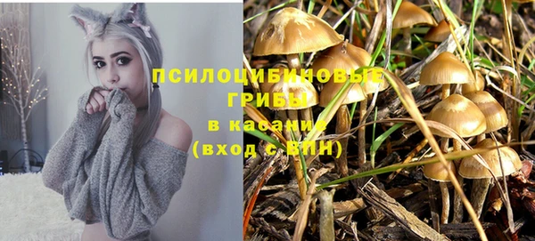 спайс Вяземский
