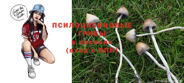 спайс Вяземский