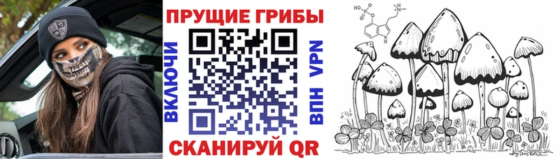 Галлюциногенные грибы Cubensis  Купить  Мыски 