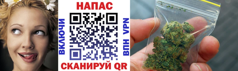 Купить  Мыски  Марихуана SATIVA & INDICA 